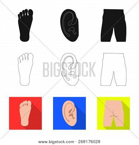 Vector Illustration Of Human And Part Symbol. Collection Of Human And Woman Stock Vector Illustratio