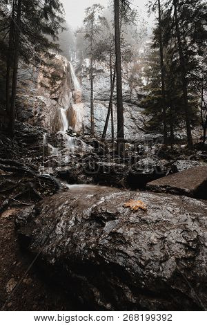 Waterfall In Forest Landscape Long Exposure Flowing Over Rocks