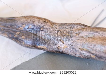 Restoration: Close Up. Conservation Of Paintings. Conservation Of Sculptures
