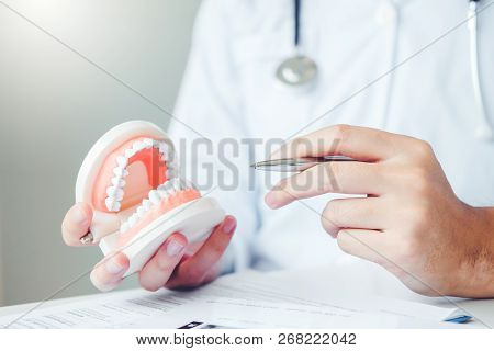 Dentist Learning How To Brush Teeth Concept
