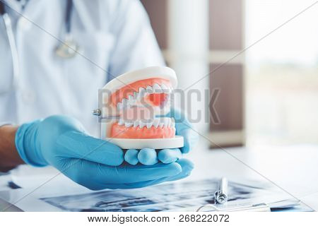 Dentist Learning How To Brush Teeth Concept