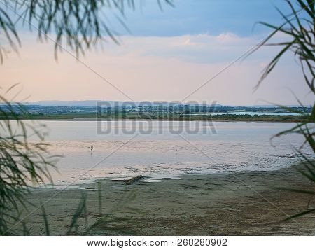 Shot of the natural reserve park at Granelli seaside place. The shot is taken at sunset in a summer 