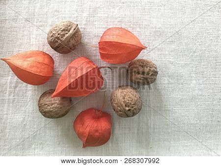 Physalis Flower In Orange Color And Walnut On Linin Tissue Vintage Style