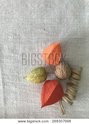 Physalis Flower On Linin Tissue Vintage Style