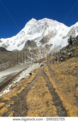 Mount Makalu With Pathway, Barun Valley, Nepal Himalayas Mountains