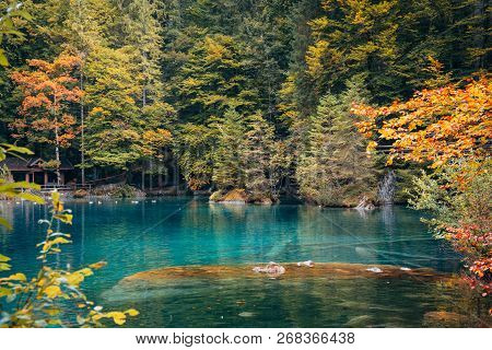 Autumn Time At Romantic Forest Lake Blausee, One Of The Best Known Mountain Lakes In Switzerland.