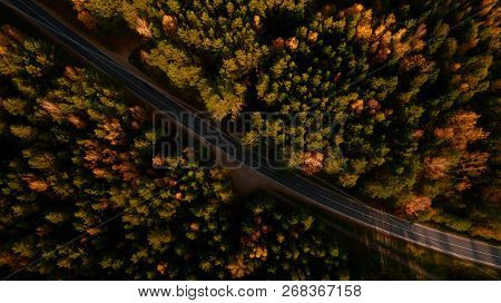 Mountain Road And Autumn Trees In Guam Gorge 
