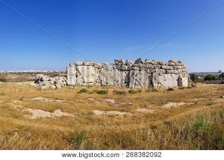 Panoramic View Of Ggantija Temples And Island Gozo, Malta With Dry Grass And Purple Flower On Foregr