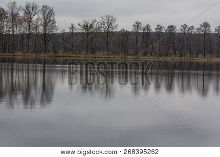 Pond Next To Schwandorf In Bavaria, Charlottenhofer Weihergebiet