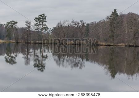 Pond Next To Schwandorf In Bavaria, Charlottenhofer Weihergebiet