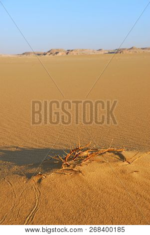 Sahara Desert Beautiful Landscape Nearby Dakhla Oasis In Egypt At Morning Light. Africa