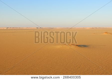 Sahara Desert Beautiful Landscape Nearby Dakhla Oasis In Egypt At Morning Light. Africa