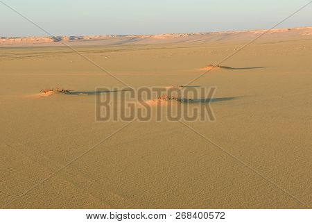 Sahara Desert Beautiful Landscape Nearby Dakhla Oasis In Egypt At Sunset. Africa