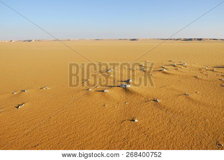 Sahara Desert Beautiful Landscape Nearby Dakhla Oasis In Egypt At Morning Light. Africa