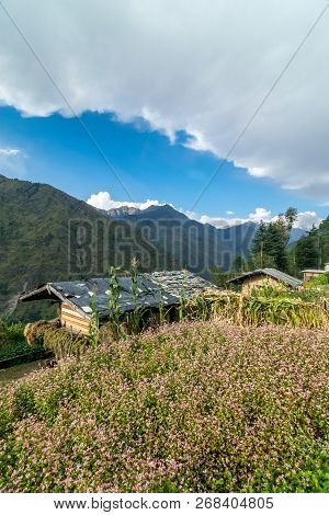 A Traditional Himalayan Wooden House In Sankri Range, Uttarakhand, India