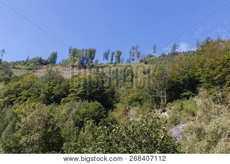 Beautiful Mountain Landscape Next To Werfenweng In The Salzburger Land
