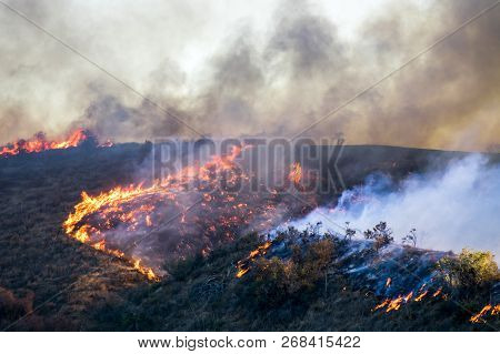 California Hillside With Grass Brush And Trees On Fire.  Bright Orange Flames And Smoke In Black And