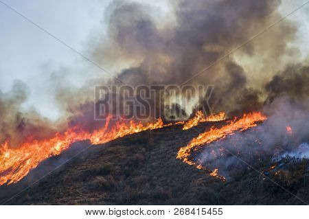 Fire Burns Brush And Trees On Hill With Bright Orange Flames And Black Smoke With A Heart Shape In T