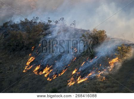 Fire Burning Brush And Trees On Hillside During California Woolsey Wildfire.