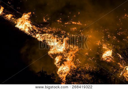 Close Up Detail Of Flames Burning Hillside At Night During California Fire.  Flames Twist Into Torna