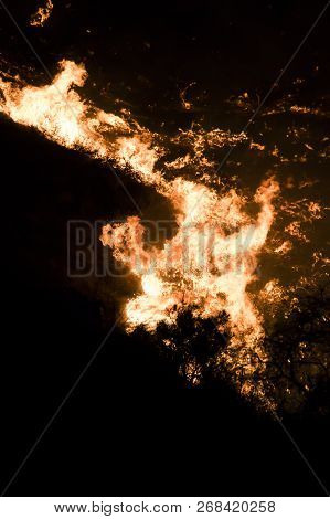 California Woolsey Wildfire Flames Burning Hillside At Night In Close Up Image.
