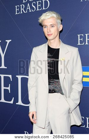 WEST HOLLYWOOD - OCT 29: Troye Siv arriving at the Premiere of Boy Erased at the Directors Guild of America on October 29, 2016 in West Hollywood, California