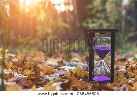 Changing Seasons. Transience Of Life. Vintage Style.