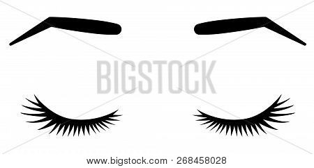 Brows And Lashes. Vector Illustration Of Lashes And Brows. For Beauty Salon, Lash Extensions Maker, 