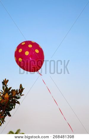 Helium Balloons. Colorful helium balloons. Floating away in the blue sky. Birthday Balloons. Party Time.