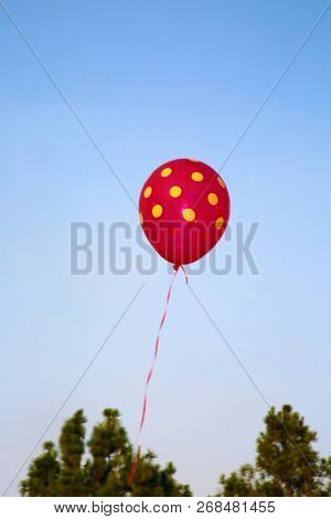 Helium Balloons. Colorful helium balloons. Floating away in the blue sky. Birthday Balloons. Party Time.