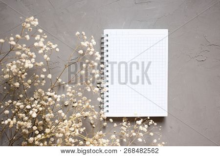 Empty Notebook And Dry Flower On Gray Background. Flay Lay Copy Space.