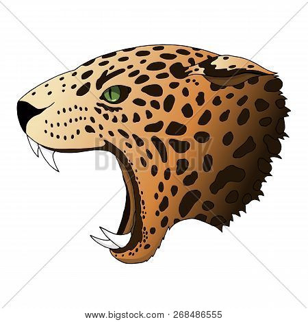 Vector Angry Leopard Portrait. Jaguar Predator Head Colorful Isolated