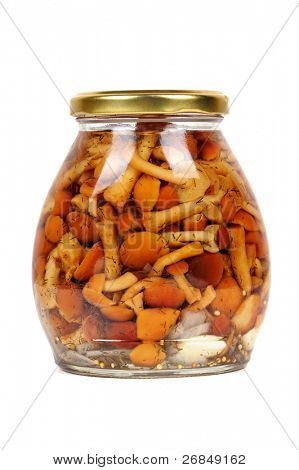 champignons en conserve, isolés on white