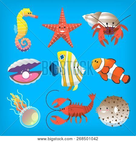 Various Marine Animals You Can See At Deep Underwater Or At The Seaside.