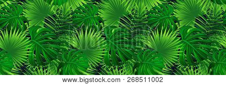 Tropical Banner. Vector Illustration. Jungle Plants, Palms Leaves Background. Green Foliage Seamless