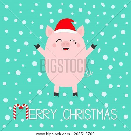 Merry Christmas. Pig Piglet. Cute Cartoon Funny Baby Character. Hog Swine Sow Animal. Santa Hat. Chi