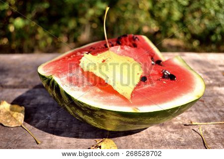 On A Hot Afternoon, When The Sun Is Scorching Mercilessly And There Is Not The Slightest Breeze, One