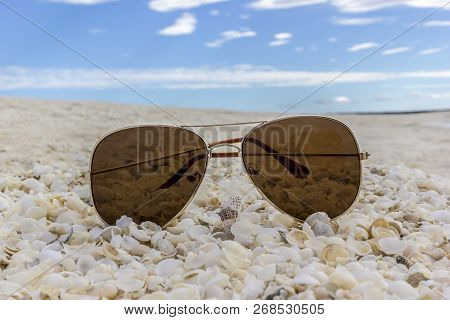 Sunglasses At The Shellbeach In Sharkbay, Western Australia