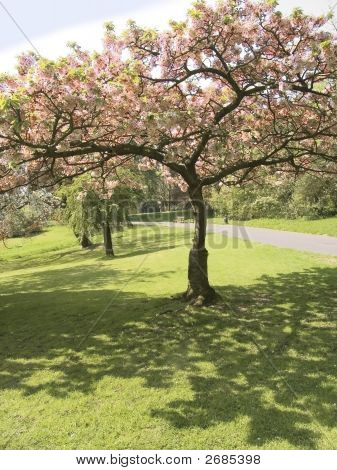 Park