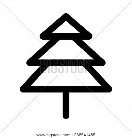 Evergreen Coniferous Spruce Tree Have Needle-like Leaves