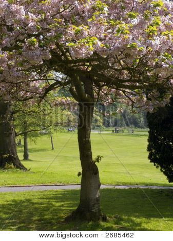 Park