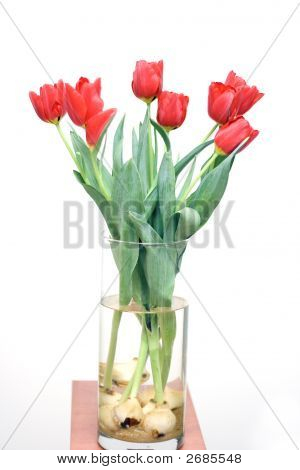 Kimpun tulppaaneja