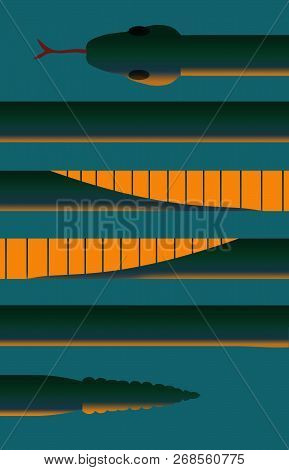 A Snake Looks Like Lines On A Page In This Interesting Look At Serpents.