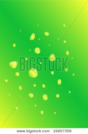 Water drops on green background