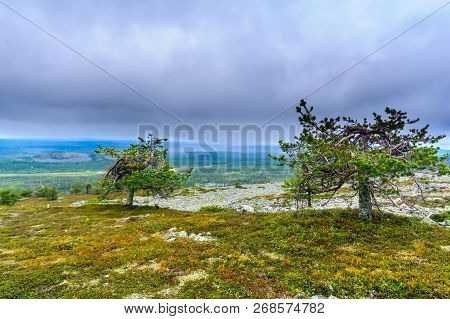 Landscape From The Summit Of Ukko-luosto Fell, In Pyha-luosto National Park, Lapland, Finland