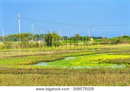 Padanaram Habor Green Grass Salt Water Marsh Dartmouth Masschusetts