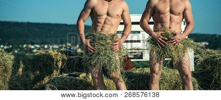 Perfect Shape. 图片和照片（免费试用） | Bigstock