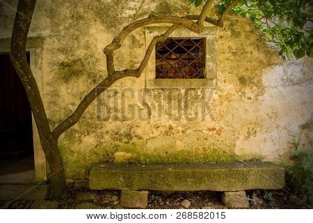A Bench And Tree Outside A Historic Building In The Hill Village Of Groznjan (also Called Grisignana