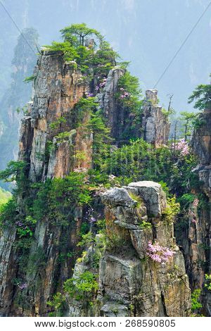 Famous tourist attraction of China - Zhangjiajie stone pillars cliff mountains on sunset at Wulingyuan, Hunan, China
