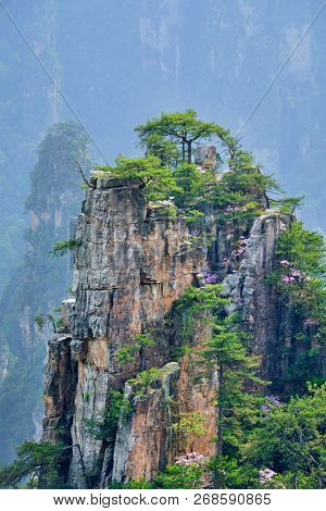 Famous tourist attraction of China - Zhangjiajie stone pillars cliff mountains on sunset at Wulingyuan, Hunan, China